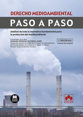 DERECHO MEDIOAMBIENTAL PASO A PASO - 9788413590998